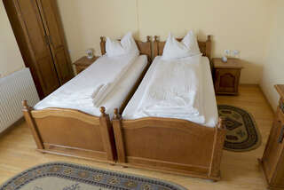 Гостевой дом Pensiunea Ana Maria Brad Двухместный номер с 2 отдельными кроватями-3