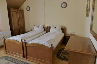 Гостевой дом Pensiunea Ana Maria Brad Двухместный номер с 2 отдельными кроватями-9
